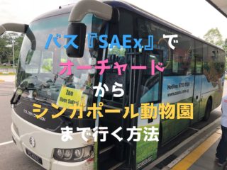 SAExバス